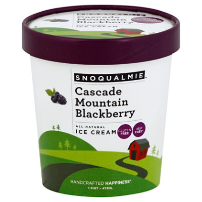 Snoqualamie Cascade Mountain Blackberry Ice Cream - 1 Pint - Image 1