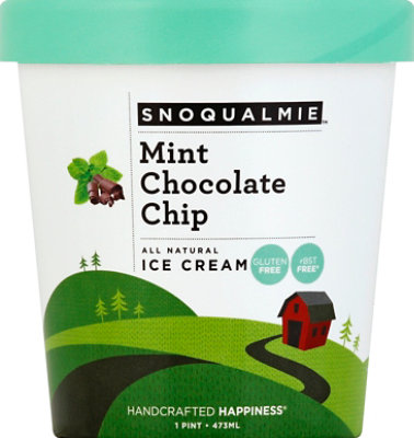 Snoqualmie Mint Chocolate Chip Ice Cream - 1 Pint - Image 2