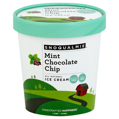 Snoqualmie Mint Chocolate Chip Ice Cream - 1 Pint - Image 1