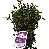 Thyme Organic Fresh Cut Bunch - Each - Image 2