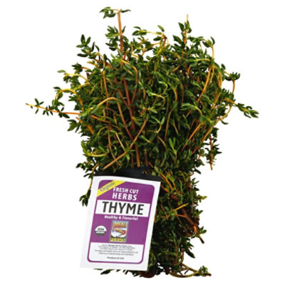 Thyme Organic Fresh Cut Bunch - Each