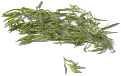 Organic Tarragon Fresh Bunch - Each