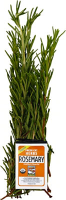 Organic Rosemary - 1 Bunch - Image 2
