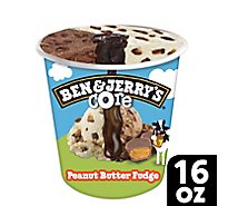 Ben & Jerry's Peanut Butter Fudge Core Ice Cream Pint - 16 Oz