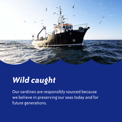 Chicken of the Sea Wild Caught Sardines in Louisiana Hot Sauce - 3.75 Oz. - Image 6