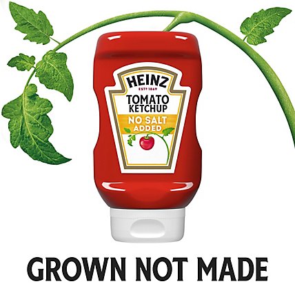 Heinz Tomato Ketchup with No Salt Added Bottle - 14 Oz - Image 4