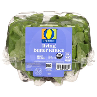 O Organics Organic Living Butter Lettuce - Each - Image 3