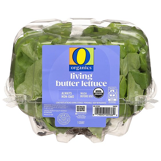 O Organics Organic Living Butter Lettuce - Each