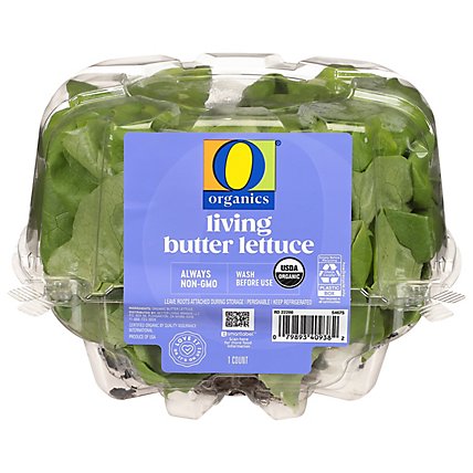 O Organics Organic Living Butter Lettuce - Each - Image 1