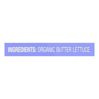 O Organics Living Butter Lettuce - Each - Image 3