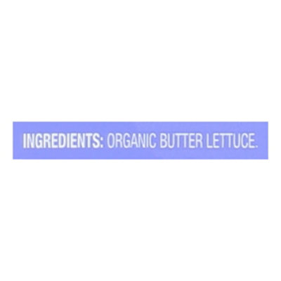 O Organics Organic Living Butter Lettuce - Each - Image 4