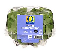 O Organics Organic Living Butter Lettuce - Each