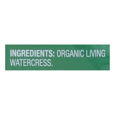 O Organics Living Watercress - Each - Image 4