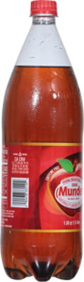 Sidral Mundet Soda Apple - 1.5 Liter - Image 6