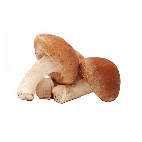 Mushrooms Jumbo Shiitake - 8 Oz