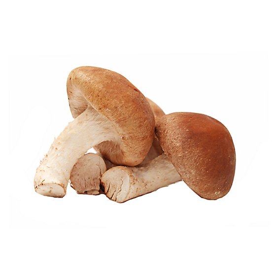 Mushrooms Jumbo Shiitake - 8 Oz