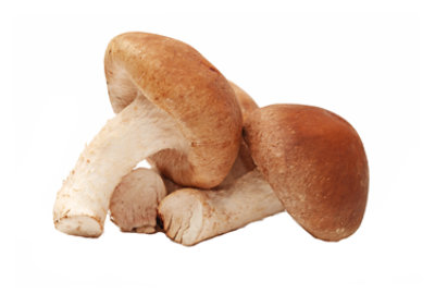 Mushrooms Jumbo Shiitake - 8 Oz