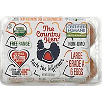 The Country Hen Organic Eggs Omega Free Range Large - 6 Count - Image 2