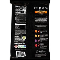 TERRA Vegetable Chips Exotic Potato Sea Salt - 5.5 Oz - Image 5