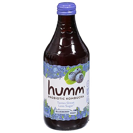 Humm Kombucha Organic Blueberry Mint - 14 Fl. Oz. - Image 3