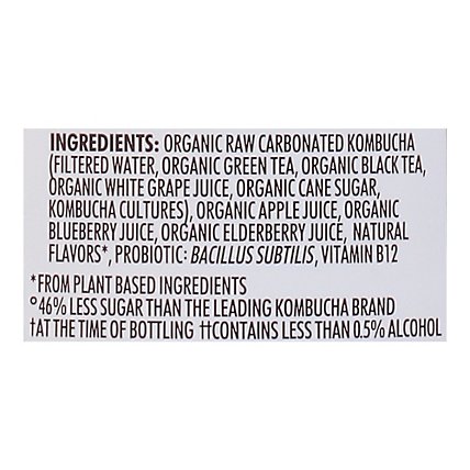 Humm Kombucha Organic Blueberry Mint - 14 Fl. Oz. - Image 5