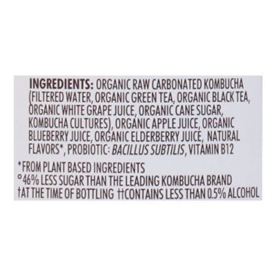Humm Kombucha Organic Blueberry Mint - 14 Fl. Oz. - Image 5