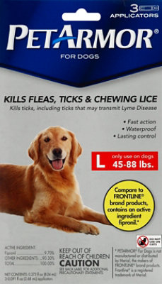 can lice kill a dog
