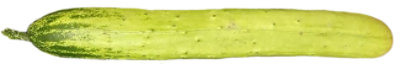 Korean Cucumber - Image 1