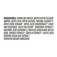 KeVita Sparkling Probiotic Drink Tangerine - 15.2 Fl. Oz. - Image 5