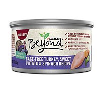 Beyond In Gravy Turkey Sweet Potato & Spinach Wet Cat Food - 3 Oz