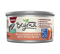 Beyond Grain Free Salmon & Sweet Potato Wet Cat Food - 3 Oz