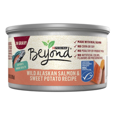  Beyond Cat Food Wet Grain Free Salmon & Sweet Potato - 3 Oz 
