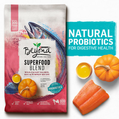 beneful superfood dog food