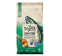 Beyond Simply Grain Free Cat Food Dry Ocean Whitefish & Egg Recipe - 5 Lb
