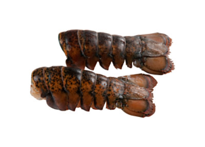  Seafood Service Counter Lobster Tail Raw 14-16 Oz Previously Frozen 1 Count - Each 