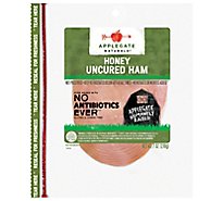 Applegate Natural Uncured Honey Ham - 7 Oz