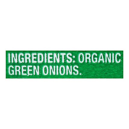 O Organics Organic Green Onions - Each - Image 4