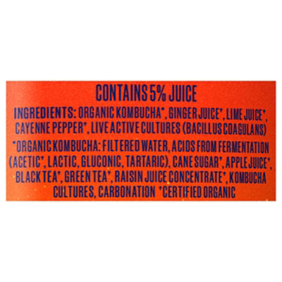 Health-Ade Kombucha Cayenne Cleanse - 16 Fl. Oz. - Image 5
