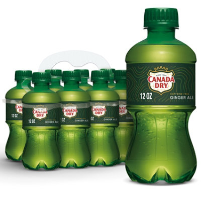 Canada Dry Ginger Ale Soda Bottles - 8-12 Fl. Oz. - Image 1