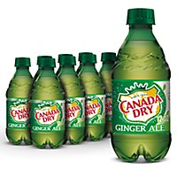 Canada Dry Ginger Ale - 8-12 Fl. Oz. - Image 1
