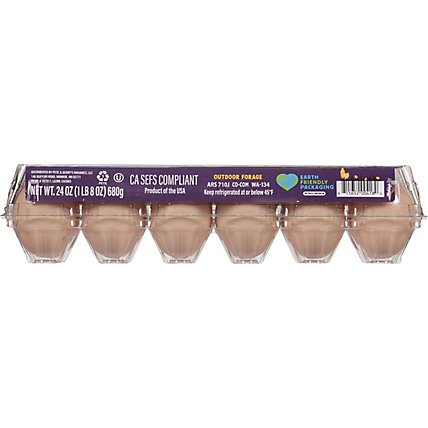 Nellies Eggs Free Range Grade A Brown Large - 12 Count - Image 5