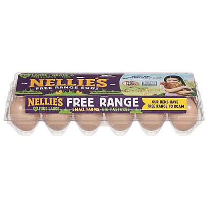 Nellies Eggs Free Range Grade A Brown Large - 12 Count - Image 2