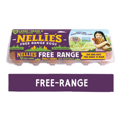 Nellies Eggs Free Range Grade A Brown Large - 12 Count - Image 1