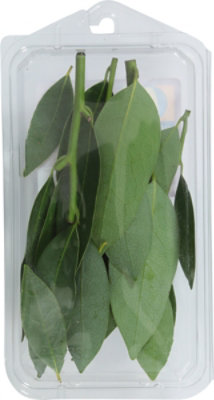 O Organics Organic Bay Leaves - 0.25 Oz - Image 5