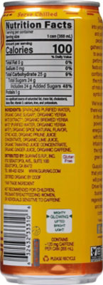 Guayaki Yerba Mate Sparkling Classic Gold - 12 Fl. Oz. - Image 6