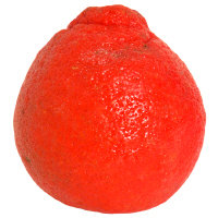 Mandarins Stem & Leaf