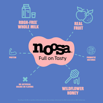 Noosa Yoghurt Blueberry 4 Pack - 16 Oz - Image 5