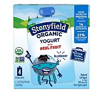 Stonyfield Organic Kids Lowfat Blueberry Yogurt Pouches - 4-3.5 Oz
