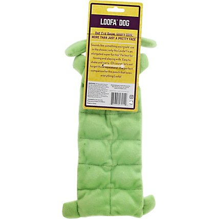Multipet Dog Toy Loofa Squeaks Mat Card - Each - Image 4