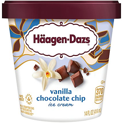 Haagen-Dazs Vanilla Chocolate Chip Ice Cream - 14 Fl. Oz. - Image 3